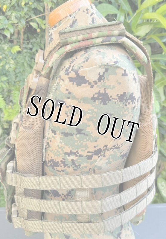 画像4: 陸上自衛隊 新型オードナンス  陸自迷彩パターン プレートキャリア　 L (4)