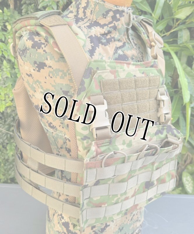 画像2: 陸上自衛隊 新型オードナンス  陸自迷彩パターン プレートキャリア　 L (2)