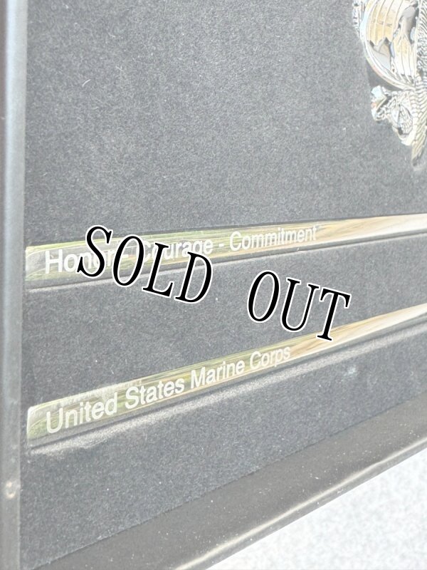 画像3: 米軍実物 USMC チャップスティックス モニュメント 記念品 2022 (3)