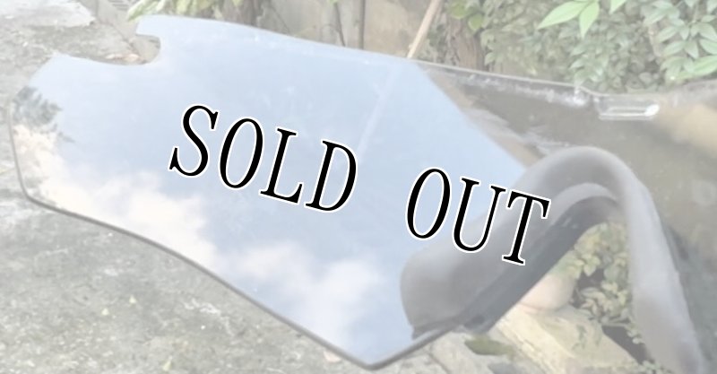 画像9: 海兵隊実物 ESS CROSSBOW APELサングラス  (9)