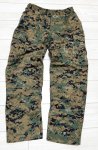 画像1: 海兵隊実物 USMC　ウッドマーパットパンツ　SMALL-X　SHORT (1)