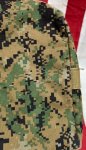 画像7: 米軍放出品　USMC　ピクセルボストンバッグ (7)