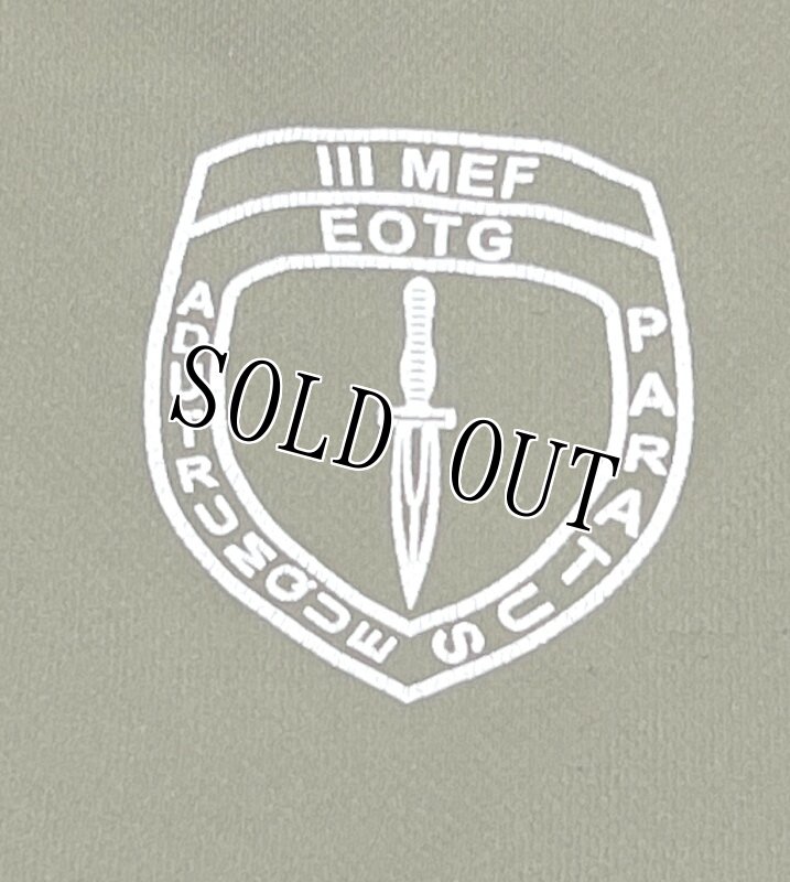 画像2: 米軍実物 AMPHIBIOUS RAIDS BRANCH Tシャツ　DRY OD　XXL (2)