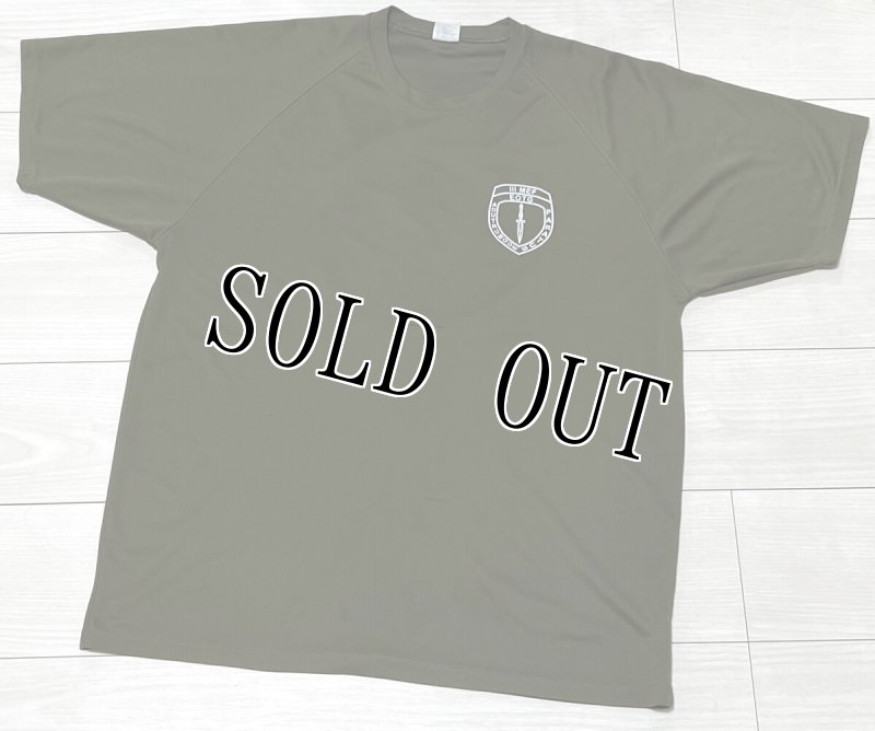 画像1: 米軍実物 AMPHIBIOUS RAIDS BRANCH Tシャツ　DRY OD　XXL (1)