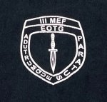 画像2: 米軍実物 AMPHIBIOUS RAIDS BRANCH Tシャツ　COTTON 　XXL (2)