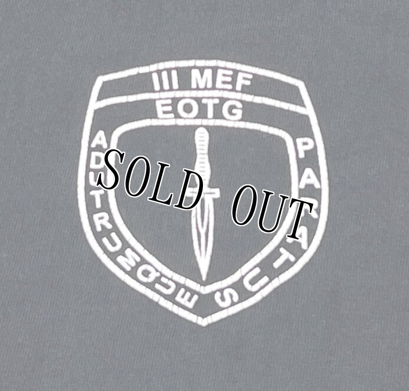 画像2: 米軍実物 AMPHIBIOUS RAIDS BRANCH Tシャツ　COTTON 　XXL (2)