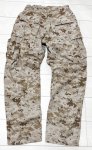 画像2: 米軍実物 USMC デザートマーパットパンツ　SMALL-SHORT (2)