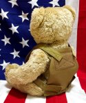画像3: 米軍放出品 USMC 海兵隊 ミリタリー オードナンスプレキャリ着用ベアー　 (3)