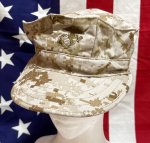 画像1: 米軍実物　USMC　デザートマーパット　CAP　 LARGE (1)