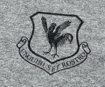画像2: 米軍放出品　US AIR FORCE STAY DRUG FREE　Tシャツ　X LARGE (2)