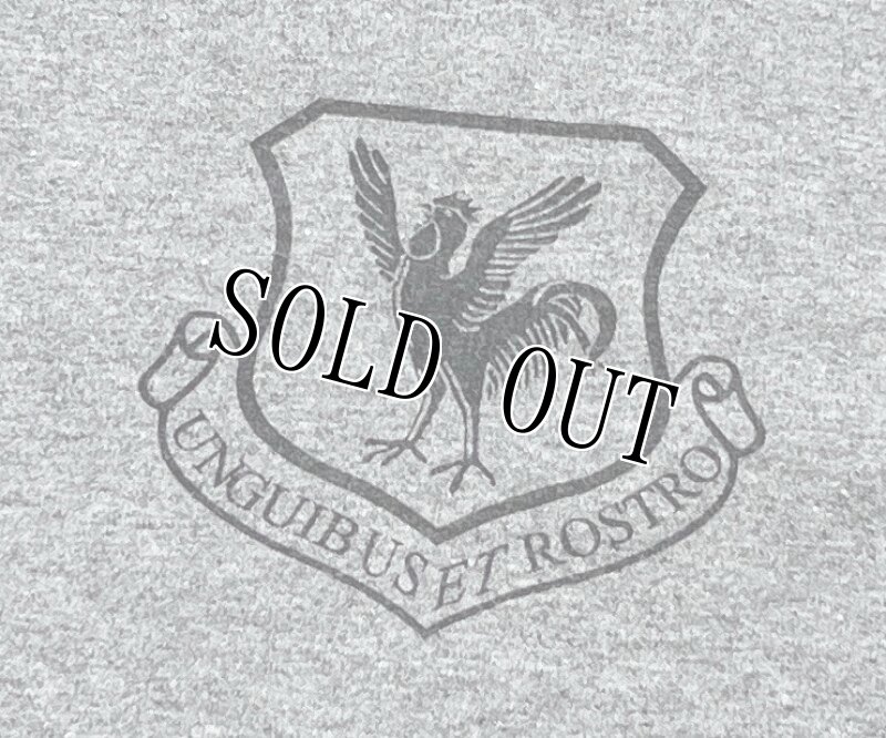 画像2: 米軍放出品　US AIR FORCE STAY DRUG FREE　Tシャツ　X LARGE (2)