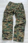 画像1: 海兵隊実物 USMC　ウッドマーパットパンツ　SMALL-X SHORT (1)