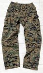 画像1: 海兵隊実物 USMC　ウッドマーパットパンツ　LARGE-REGULAR (1)