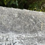 画像7: 海兵隊放出品 CROSSBOW ESSサングラス (7)