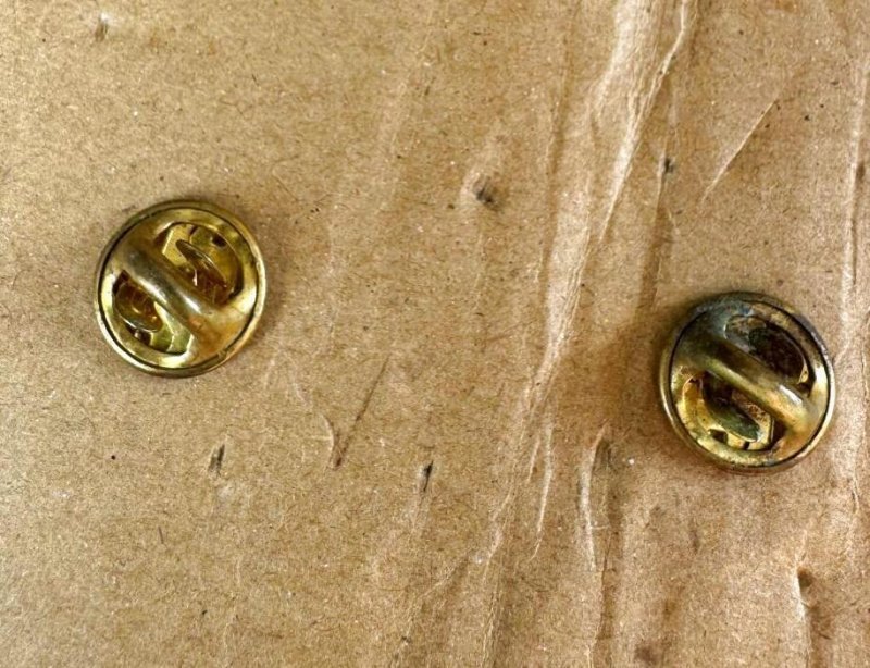 画像3: 米軍放出品 大韓民国海軍（韓国海軍）空挺降下マスター章 Master Parachutist Badge (3)