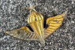 画像4: 米軍放出品 大韓民国海軍（韓国海軍）空挺降下マスター章 Master Parachutist Badge (4)