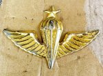 画像1: 米軍放出品 大韓民国海軍（韓国海軍）空挺降下マスター章 Master Parachutist Badge (1)