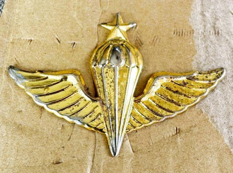 画像1: 米軍放出品 大韓民国海軍（韓国海軍）空挺降下マスター章 Master Parachutist Badge (1)