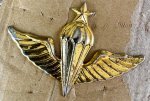 画像2: 米軍放出品 大韓民国海軍（韓国海軍）空挺降下マスター章 Master Parachutist Badge (2)