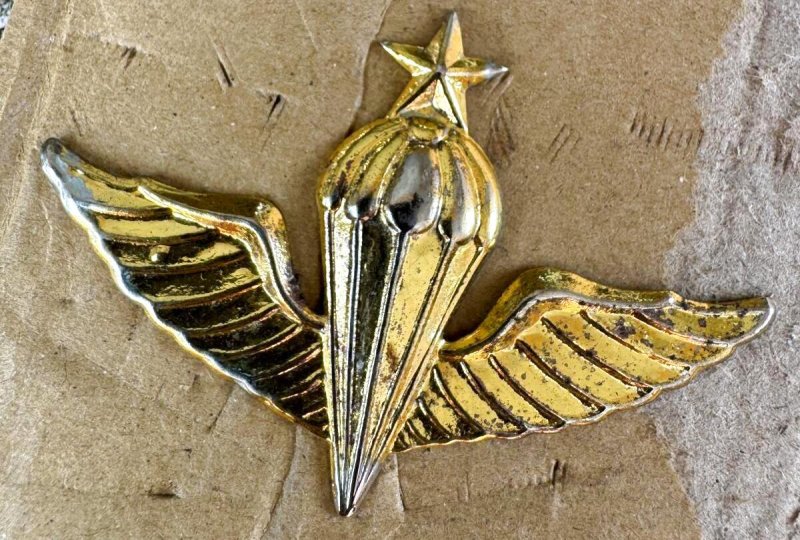 画像2: 米軍放出品 大韓民国海軍（韓国海軍）空挺降下マスター章 Master Parachutist Badge (2)