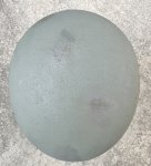 画像7: 米軍実物 ACH 米陸軍 バリスティック ヘルメット LARGE (7)