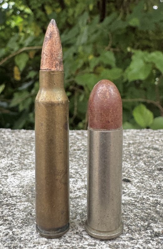画像1: 米軍実物 5.56mm x 38口径 38SP 空薬莢 薬莢 2発セット 使用済み 安全品 (1)