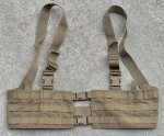 画像1: 米軍放出品 TACTICAL TAILOR チエストリグ コヨーテ (1)
