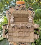 画像1: 米軍実物 オードナンス  プレートキャリア　 M OD (1)