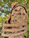 画像4: 米軍実物 オードナンス  プレートキャリア　 M OD (4)