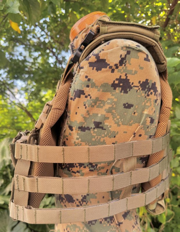 画像4: 米軍実物 オードナンス  プレートキャリア　 M OD (4)