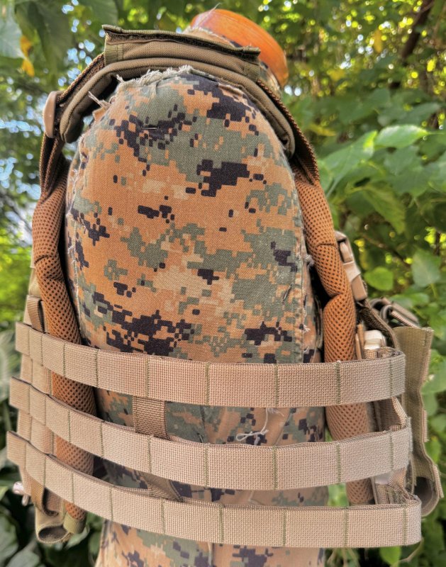 画像2: 米軍実物 オードナンス  プレートキャリア　 M OD (2)