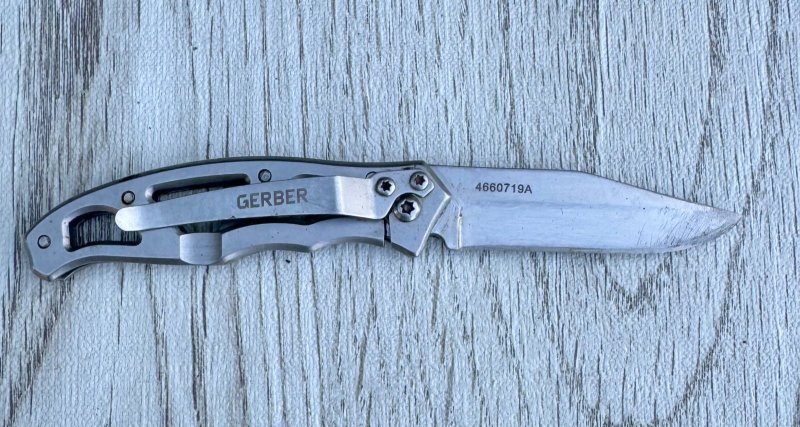 画像1: 米軍放出品 GERBER パラフレーム  ミニ ナイフ  (1)