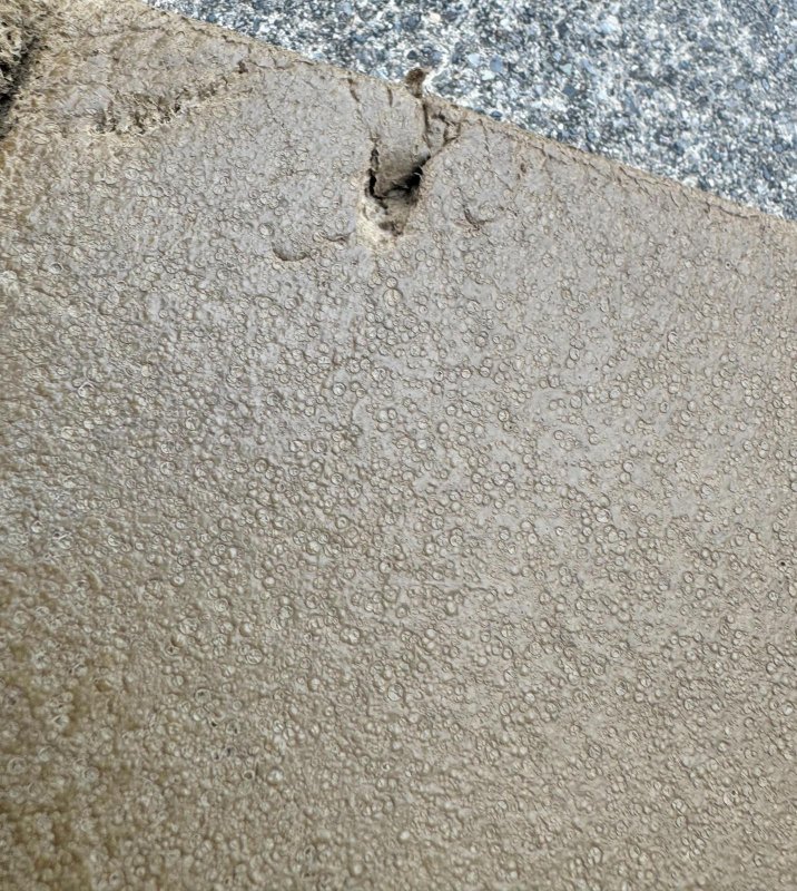 画像12: 海兵隊実物 THERMAREST スリーピングマット コヨーテ (12)