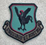 画像1: 米軍実物 第18航空団 UNGUIBUS ET ROSTRO ワッペン (1)
