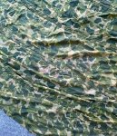 画像5: 米軍実物 パラシュート生地　ダックハンターカモ　60年代    (5)