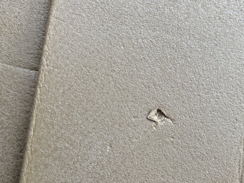 画像12: 海兵隊実物 THERMAREST スリーピングマット コヨーテ (12)