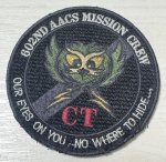 画像1: 米軍実物 第602航空警戒管制隊任務乗員 (1)