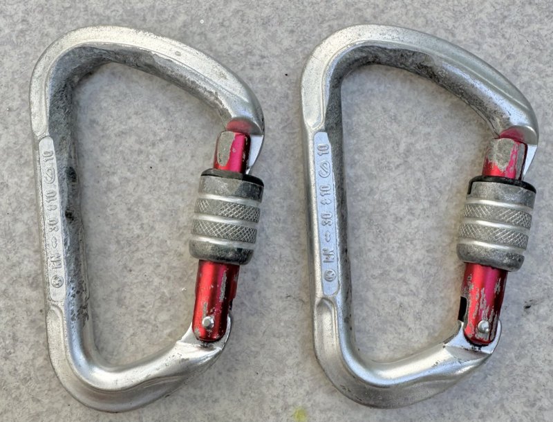 画像7: 米軍放出品 クライミングテクノロジー(CT) D型カラビナ ラージスチールSG  2個 (7)