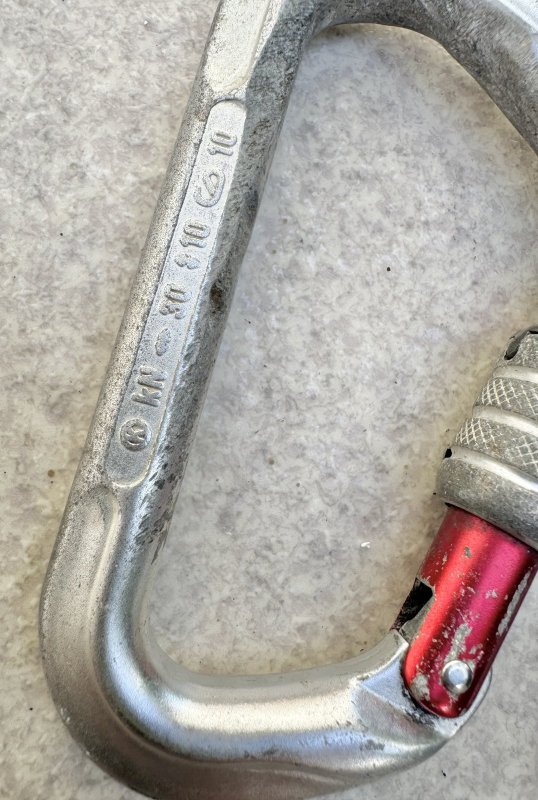 画像9: 米軍放出品 クライミングテクノロジー(CT) D型カラビナ ラージスチールSG  2個 (9)