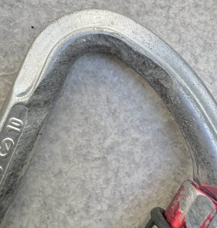 画像10: 米軍放出品 クライミングテクノロジー(CT) D型カラビナ ラージスチールSG  2個 (10)