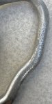 画像3: 米軍放出品 Petzl Vertigo ペツル・ヴェルティゴ　カラビナ　2個 (3)