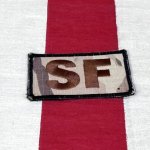 画像1: 米軍実物 セキュリティ・フォース（Security Forces）ワッペン　マルチ (1)