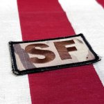 画像2: 米軍実物 セキュリティ・フォース（Security Forces）ワッペン　マルチ (2)