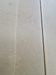 画像12: 海兵隊実物 THERMAREST スリーピングマット コヨーテ (12)