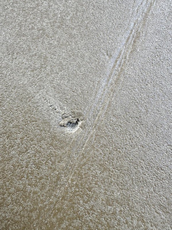 画像12: 海兵隊実物 THERMAREST スリーピングマット コヨーテ (12)