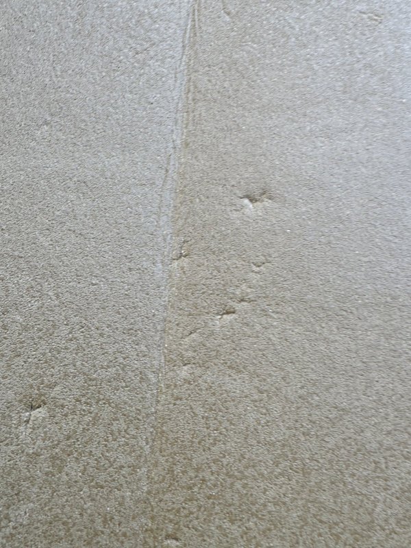 画像11: 海兵隊実物 THERMAREST スリーピングマット コヨーテ (11)