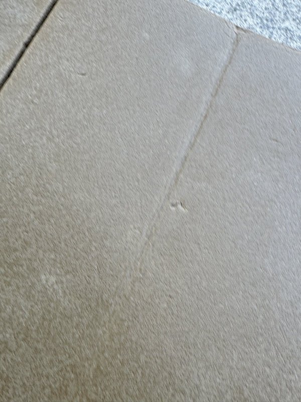 画像10: 海兵隊実物 THERMAREST スリーピングマット コヨーテ (10)