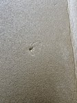 画像7: 海兵隊実物 THERMAREST スリーピングマット コヨーテ (7)