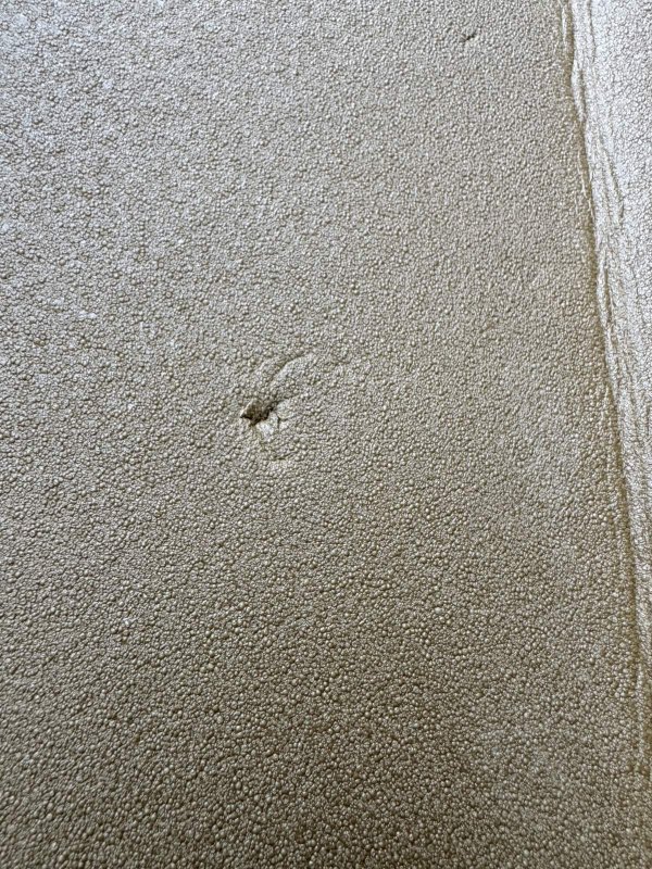 画像7: 海兵隊実物 THERMAREST スリーピングマット コヨーテ (7)