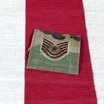 画像1: 米軍実物 U,S,AIR FORCE　エアーフォース  階級章　マルチスコーピオン (1)
